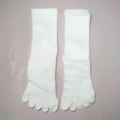 Item thumbnail for item b6ca2ee3-978d-4318-91fb-f884506abf3f