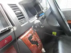 Item thumbnail for item 97e78481-d9d5-47b3-b882-c15778515c5d