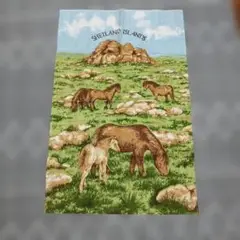 SHETL AND ISLAND　イングランド　マット　敷物　タペストリー