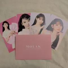 MOLAK モラク Le Sserafim 宮脇咲良　サクラ　ポストカード