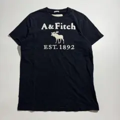 Abercrombie&fitch グラフィック 半袖 Tシャツ y2k 古着のサムネイル