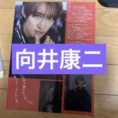 向井康二　切り抜き＋ピンナップ