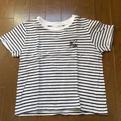 NICE CLAUP ストライプTシャツ サイズF