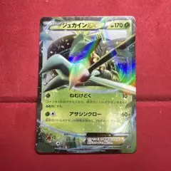 ジュカインex 1ed xy m22