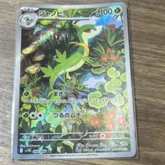 ジャノビーAR ポケモンカードゲーム