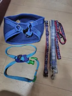 青 メッシュハーネス Mサイズ リード2本セット