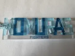 北海道日本ハムファイターズ ネームスタンドキーホルダー #5野村のサムネイル