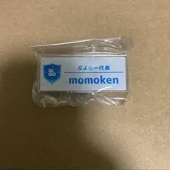 【未開封】momoken アクリルネームバッジ【GiGO】