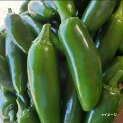 ハラペーニョ530g 青唐辛子 農薬:栽培期間中不使用 jalapenoのサムネイル