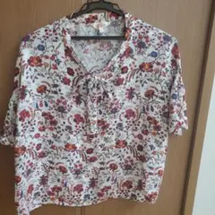 Item thumbnail for item 80bee093-372c-40e7-a325-38356840934a