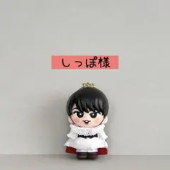 しっぽ様✨すのチルソフビ衣装✨Snow Man風