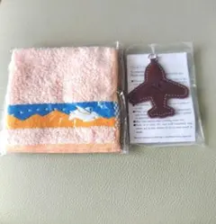 Item thumbnail for item 93c8ad08-6243-4027-b0a5-397d3043fb96