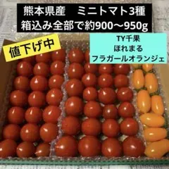 熊本県産　完熟　ミニトマト　3種　 箱込み全部で約900〜950g
