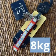 Item thumbnail for item e1fe863b-1a8b-499c-85f7-99beef8be4a3