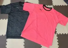 Item thumbnail for item 4baf8f32-35bd-4c38-94ae-b5a573df480c