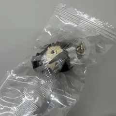 BLEACH めじるしアクセサリー 朽木白哉