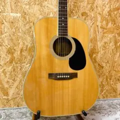 Elite TW-50 TAKAMINE 日本製 アコースティックギター