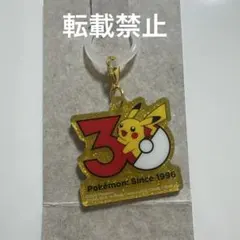 ポケットモンスター ポケチャーム 30周年 ロゴマスコット 2 ピカチュウ