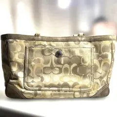 Item thumbnail for item 2454bde5-0bcc-47c2-ab2f-934daf19a02d