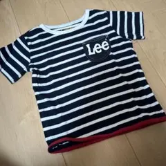 Lee ストライプ Tシャツ 半袖