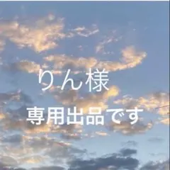 新品！mystic 6050円→2190円 ロゴ ロングTシャツ