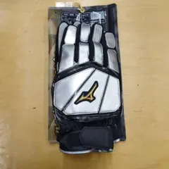 Item thumbnail for item c6dc71e0-b770-4541-81e6-c512a2c2b918