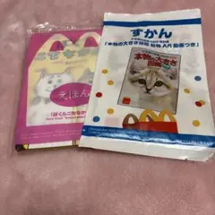 Item thumbnail for item bdebce63-6b0f-4315-8438-1cd3df940c58