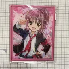 FGO グラカニ アクスタ ぐだ子 藤丸立香 - メルカリ