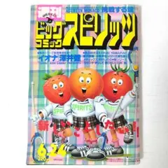 週刊ビッグコミックスピリッツ　No.27　1991年(平成3年)6月24日号