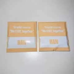 スキズ ランダムミニアクリルスタンドチャーム ハン