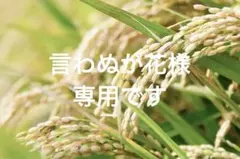 リピート割引令和7年愛知県産 あいちのかおり【精米20kg】送料込 お米
