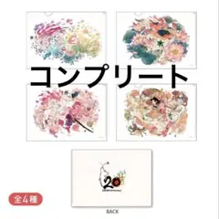 大神 おはるちゃん 20周年 クリアファイル アマテラス 花咲く筆しらべ