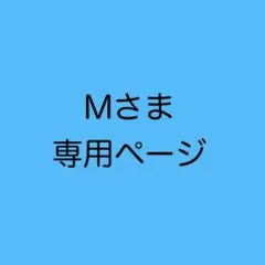 Mさま専用　オーダー2点