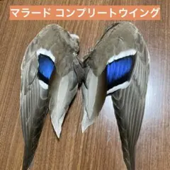 りりぷぷ◇購入者様はプロフお読みください様 リクエスト 2点 まとめ商品