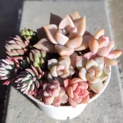 ともちゃん☆プロフ必読願います☆様 リクエスト 2点 まとめ商品