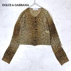 D&G ドルチェ&ガッバーナ レオパード柄 カーディガン 40 シアー ラメのサムネイル