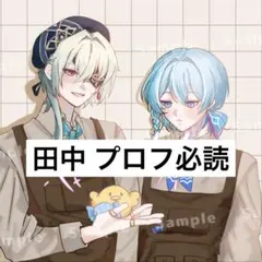 田中 プロフ必読様専用ページ