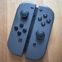 Switch ジョイコン グレー×グレー ニンテンドー