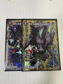 燃える禁断ドルマゲドンW シークレット　シク　おまけ付き