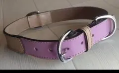 Item thumbnail for item 4ae55753-04f6-46b8-8911-259788fc31ec