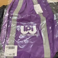 Item thumbnail for item 346c4cf6-3a3e-4866-b99e-7e4756f71e11