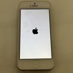 Apple iPhone5 16GB シルバー