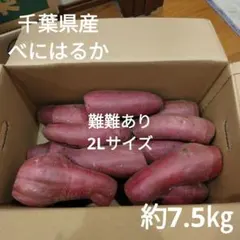 35 難難あり　千葉県産　べにはるか　さつまいも　2Lサイズ　約7.5㎏