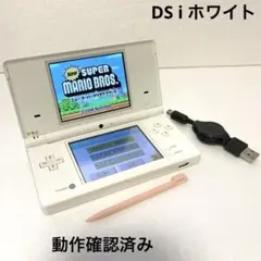 Nintendo DS i 本体 ホワイト　USBアダプター付き