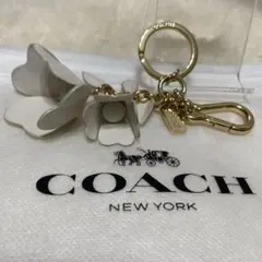2025年最新】コーチ ティーローズ キーホルダーの人気アイテム - メルカリ