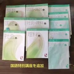 2026年最新】日能研 本科テキスト 4年の人気アイテム - メルカリ