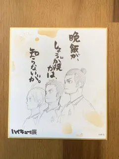 ハイキュー　色紙　烏野3年生