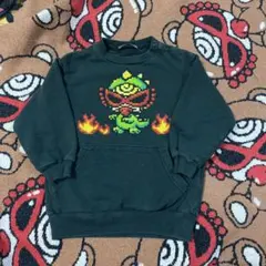 ヒスミニ　トレーナー