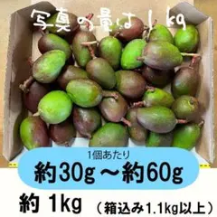摘果マンゴー グリーンマンゴー 加工用 small - メルカリ