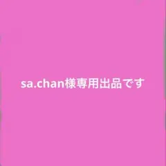sa.chan専用出品です